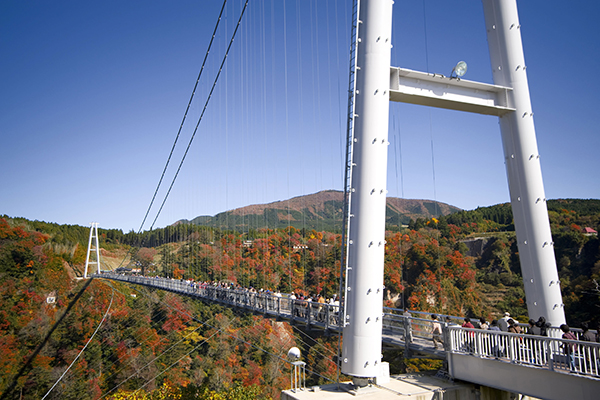Kokonoe ”Dream” large suspension bridge